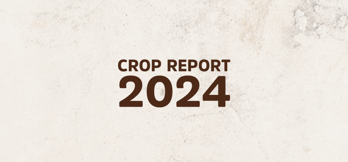 Crop Report 2024